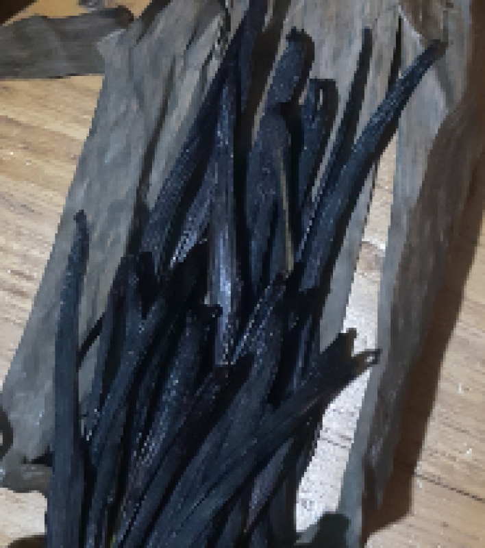 VANILLA BEANS from Uganda
